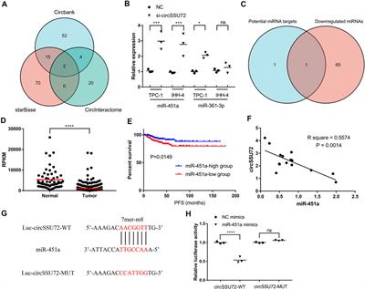 circSSU72 Promotes Cell Proliferation, Migration and Invasion of Papillary Thyroid Carcinoma Cells by Targeting miR-451a/S1PR2 Axis